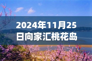 2024年桃花岛最新进展与展望，向家汇的璀璨未来