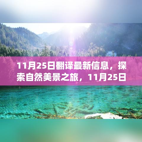 11月25日最新旅行指南，探索自然美景之旅，寻找内心的宁静与欢笑