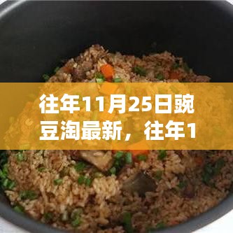 历年11月25日豌豆淘产品全面评测与介绍