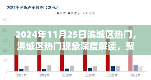 滨城区热门现象深度解读，多元观点碰撞聚焦滨城盛事，2024年11月25日热议话题揭秘