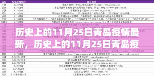 历史上的11月25日青岛疫情深度解析与观点阐述