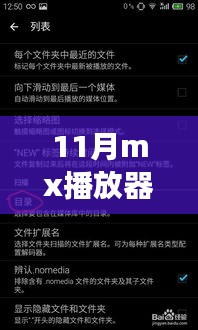 最新版11月mx播放器，超越变革之海，共舞学习成就之旅