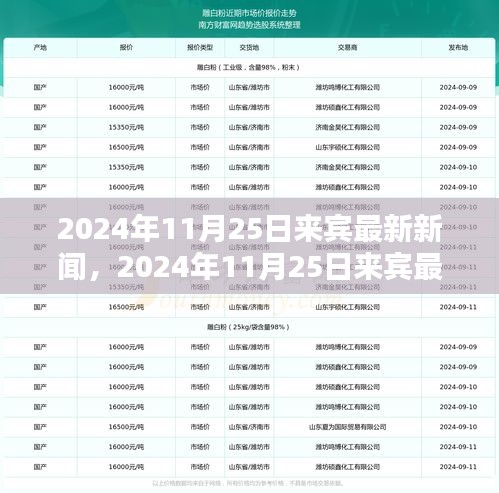 时代背景下的重要瞬间，2024年11月25日来宾最新新闻回顾与观察