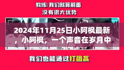 小阿枫最新深度剖析，声音回响岁月间 2024年11月25日纪实报道