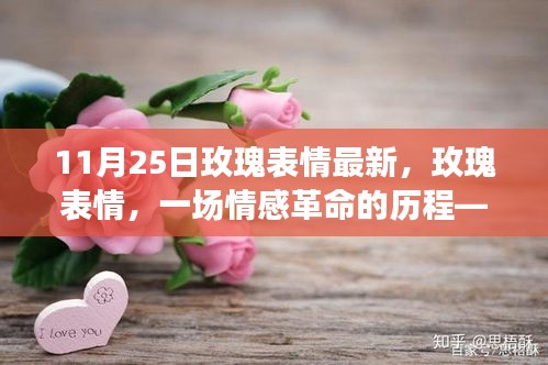 纪念玫瑰表情诞生一周年，情感革命的历程与最新玫瑰表情解读（11月25日）