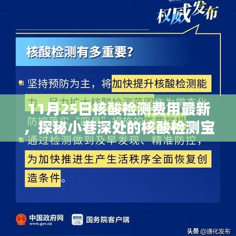 探秘核酸检测宝藏店，揭秘最新核酸检测费用更新！