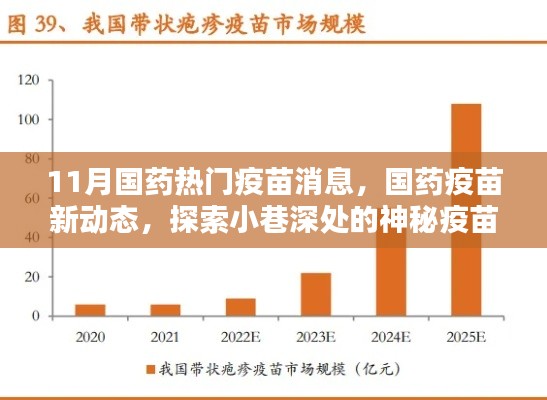 国药疫苗最新动态，探索神秘疫苗守护小店的秘密