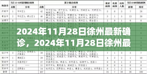 2024年11月28日徐州最新确诊情况及深度解析