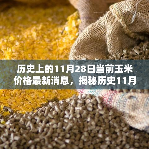 历史与最新资讯交汇，11月28日玉米价格走势及最新消息指南