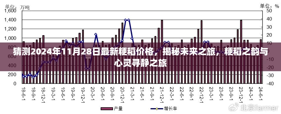 揭秘未来粳稻行情，预测2024年粳稻价格揭秘心灵寻静之旅的粳稻之韵