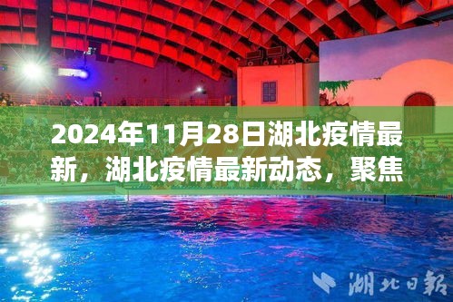 湖北疫情最新动态报告，聚焦要点，共筑防线（2024年11月28日更新）