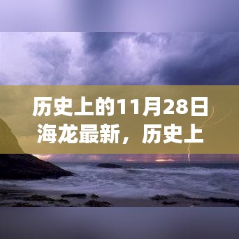 历史上的11月28日海龙事件深度解析与最新动态