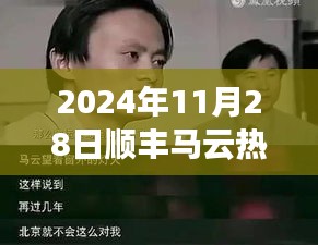 顺丰马云携手揭秘，2024年物流行业新动态（独家报道）