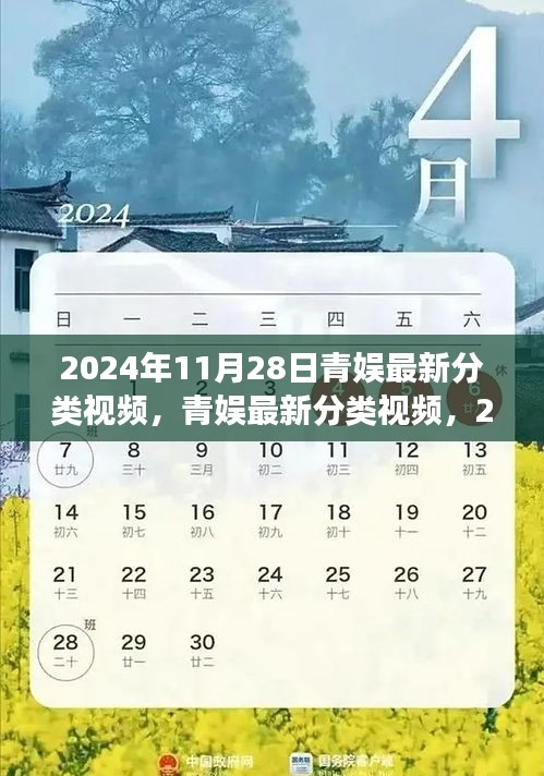 青娱最新分类视频，行业革新之旅的启示（2024年）