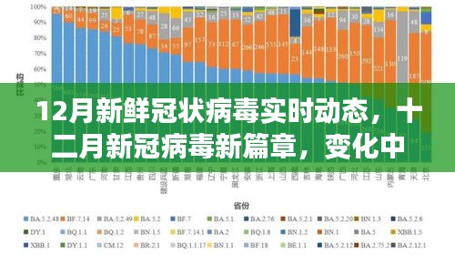 新冠病毒十二月实时动态，学习、信心与成就的光辉篇章