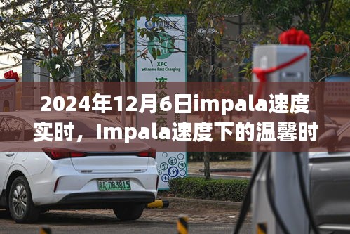 Impala速度下的温馨时光，2024年12月6日的奇妙经历纪实