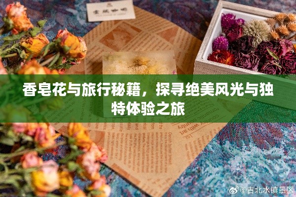 香皂花与旅行秘籍，探寻绝美风光与独特体验之旅