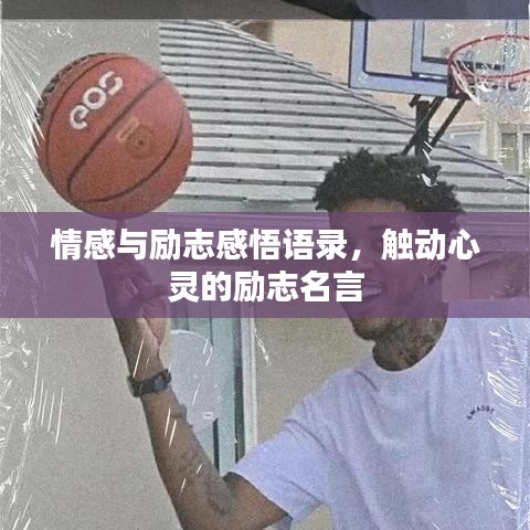 情感与励志感悟语录，触动心灵的励志名言