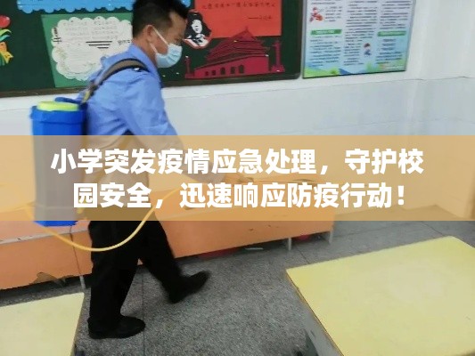 小学突发疫情应急处理，守护校园安全，迅速响应防疫行动！