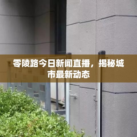 零陵路今日新闻直播，揭秘城市最新动态