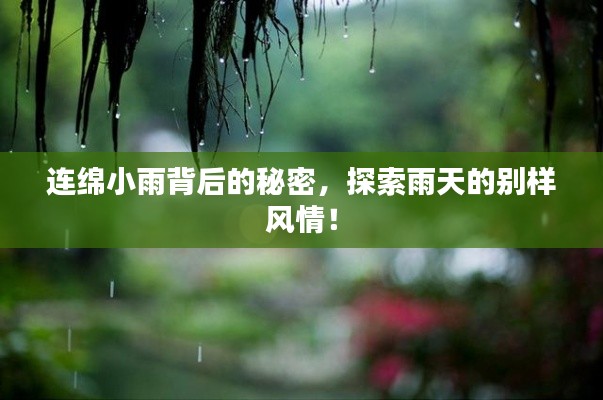 连绵小雨背后的秘密，探索雨天的别样风情！