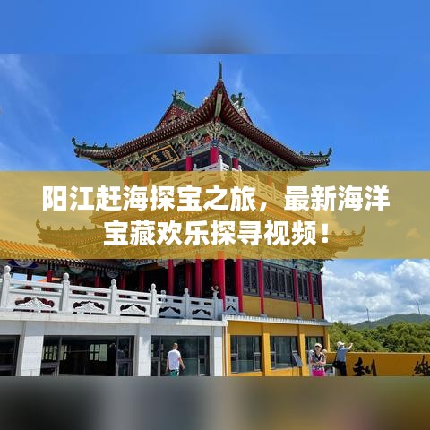 阳江赶海探宝之旅，最新海洋宝藏欢乐探寻视频！