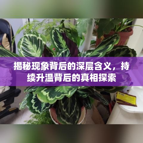 揭秘现象背后的深层含义，持续升温背后的真相探索