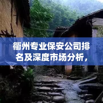 衢州专业保安公司排名及深度市场分析，行业洞察与选择指南