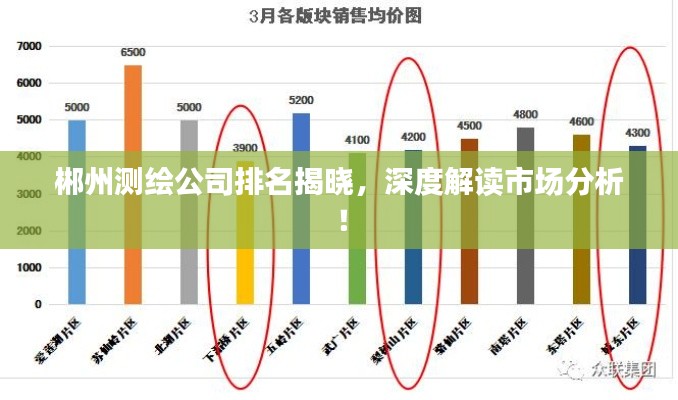 郴州测绘公司排名揭晓，深度解读市场分析！