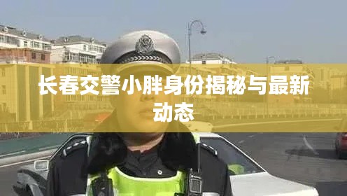 长春交警小胖身份揭秘与最新动态