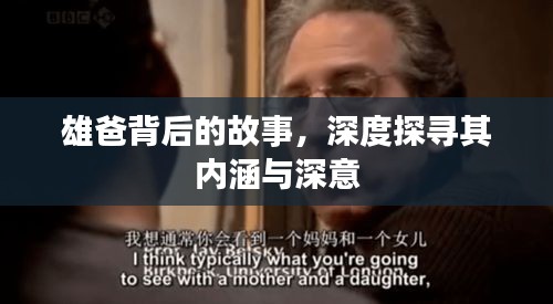 雄爸背后的故事，深度探寻其内涵与深意