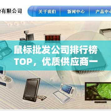 鼠标批发公司排行榜TOP，优质供应商一览