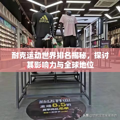 耐克运动世界排名揭秘，探讨其影响力与全球地位