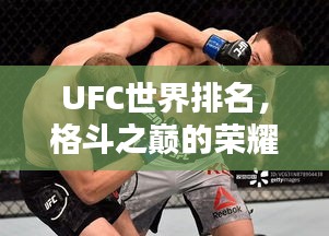 UFC世界排名，格斗之巅的荣耀与挑战之路