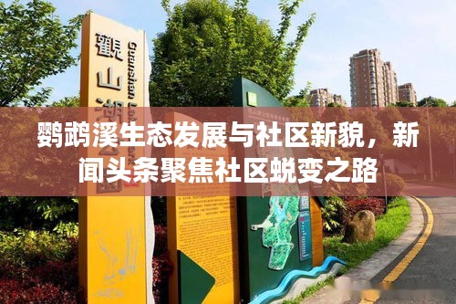 鹦鹉溪生态发展与社区新貌，新闻头条聚焦社区蜕变之路