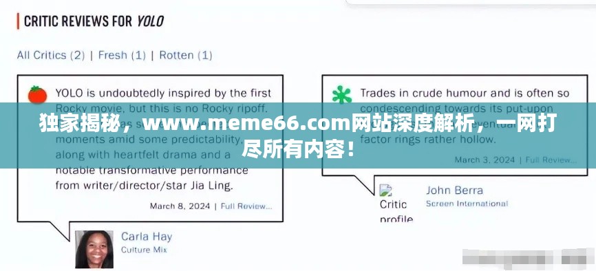 独家揭秘，www.meme66.com网站深度解析，一网打尽所有内容！