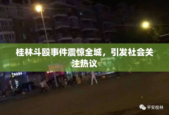 桂林斗殴事件震惊全城，引发社会关注热议
