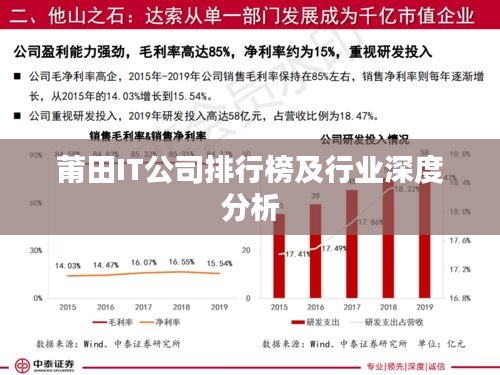 莆田IT公司排行榜及行业深度分析