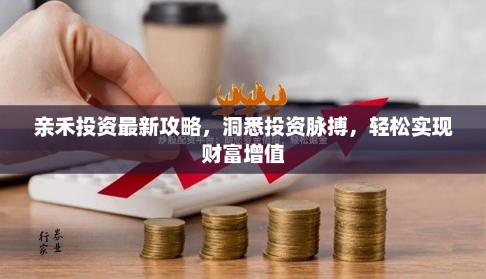 亲禾投资最新攻略，洞悉投资脉搏，轻松实现财富增值