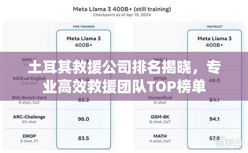 土耳其救援公司排名揭晓，专业高效救援团队TOP榜单