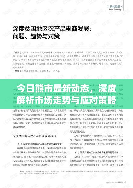 今日熊市最新动态,深度解析市场走势与应对策略