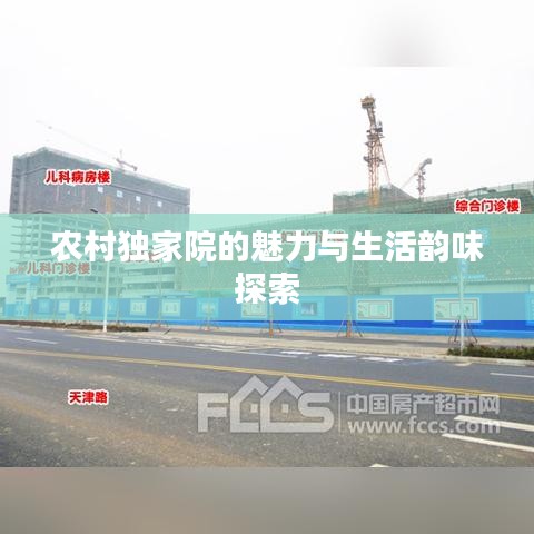 农村独家院的魅力与生活韵味探索