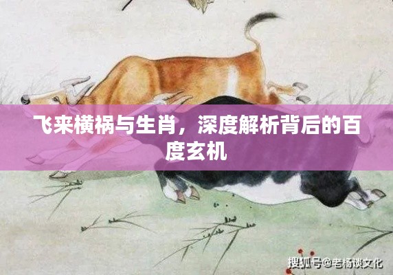 飞来横祸与生肖，深度解析背后的百度玄机