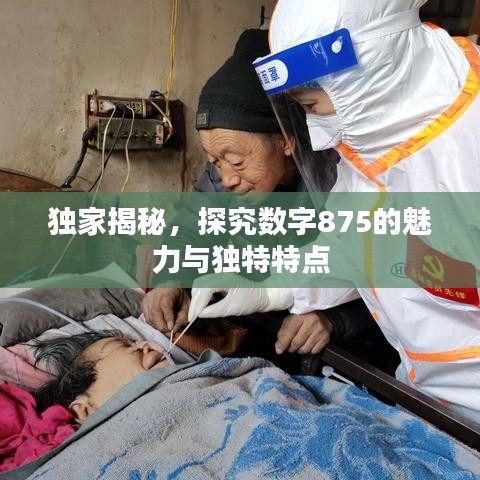 独家揭秘，探究数字875的魅力与独特特点