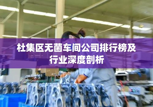 杜集区无菌车间公司排行榜及行业深度剖析