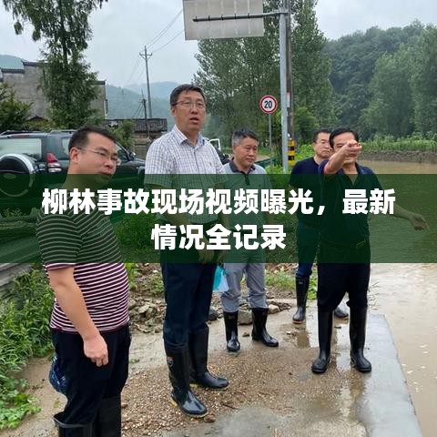 囫囵吞枣