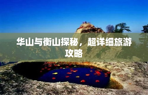 盒抽纸厂家 第14页