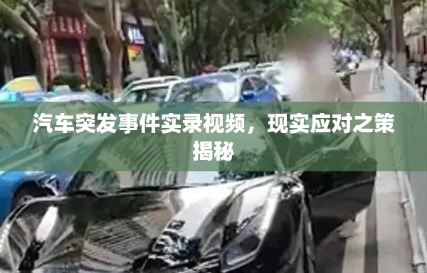 手不释卷